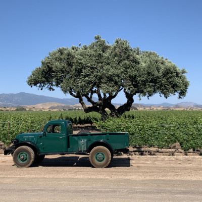 Dodge Power Wagon